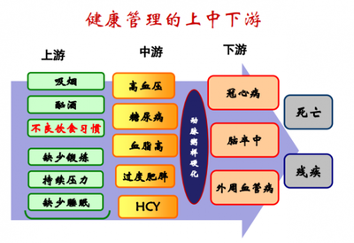 夏萌專家分享 健康管理與營養醫學經驗之談，顛覆你的思維！